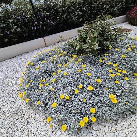 Elevenlights-costaballena Garden View קוסטה בלנה