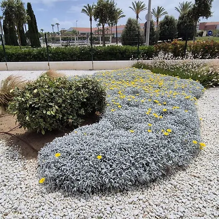דירה Elevenlights-costaballena Garden View קוסטה בלנה