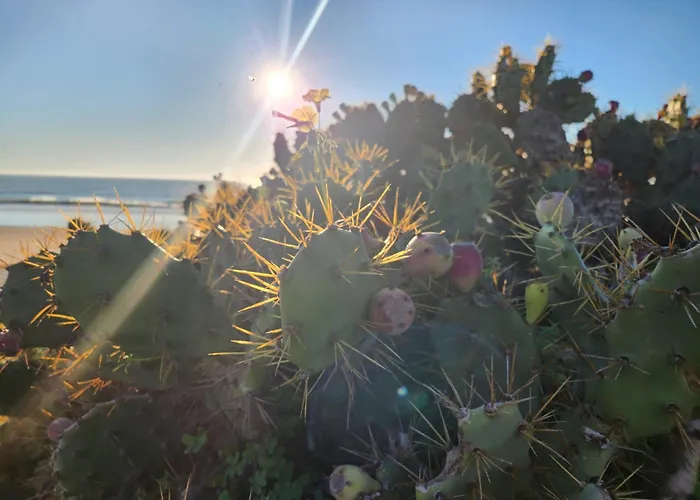 Elevenlights-costaballena Garden View Apartmán Costa Ballena