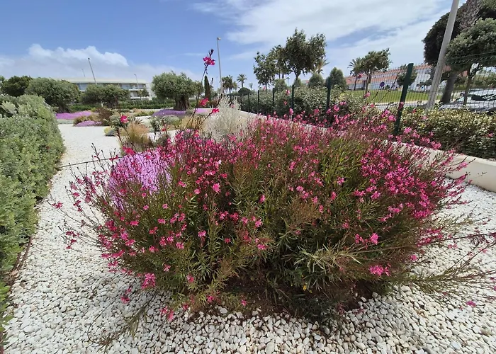 Elevenlights-costaballena Garden View * Costa Ballena