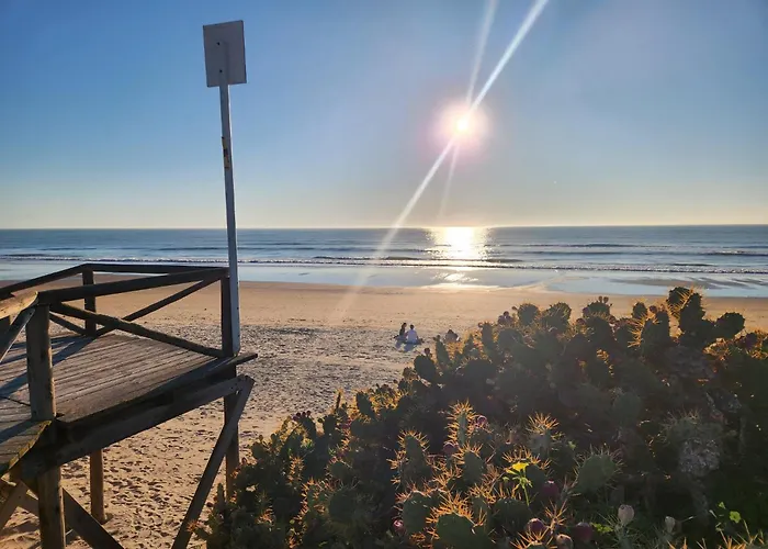 Elevenlights-costaballena Garden View