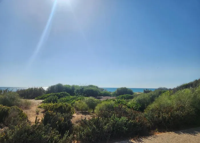 Elevenlights-costaballena Garden View