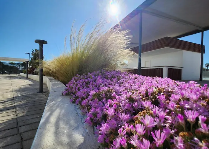 Elevenlights-costaballena Garden View Lejlighed Costa Ballena