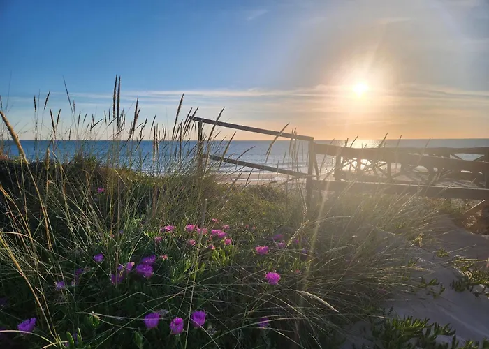 Elevenlights-costaballena Garden View