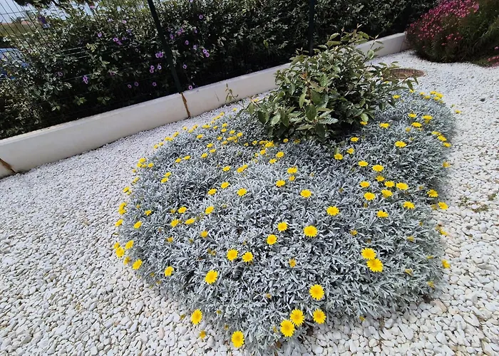 Elevenlights-costaballena Garden View Costa Ballena