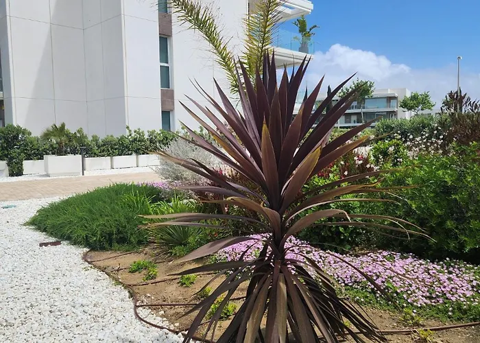 Elevenlights-costaballena Garden View Lejlighed *