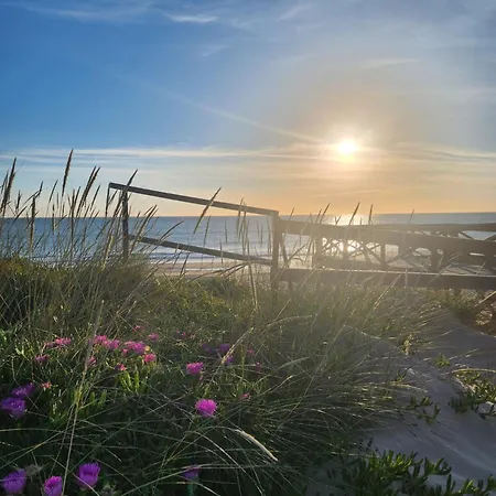 Apartment Elevenlights-costaballena Garden View *