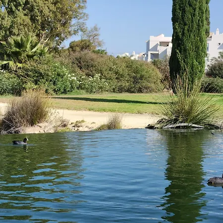 Elevenlights-costaballena Garden View