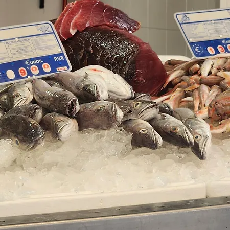 Elevenlights-costaballena Garden View *