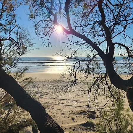 Apartment Elevenlights-costaballena Garden View Costa Ballena