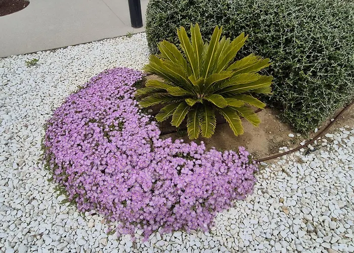 Elevenlights-costaballena Garden View Costa Ballena