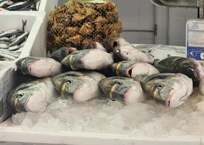 Elevenlights-costaballena Garden View Costa Ballena