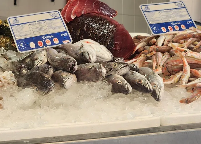 Elevenlights-costaballena Garden View *