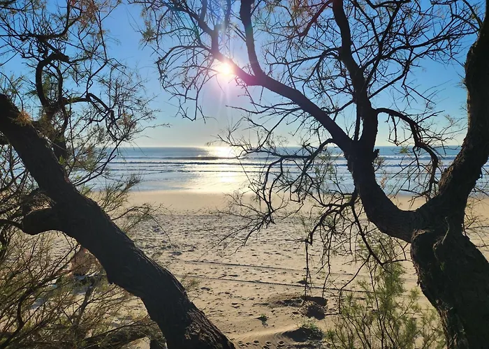 Apartament Elevenlights-costaballena Garden View Costa Ballena