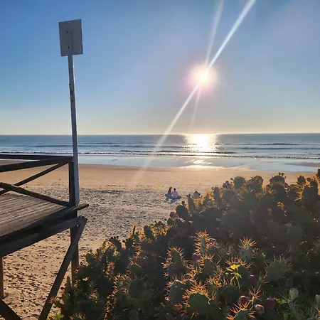 Elevenlights-costaballena Garden View