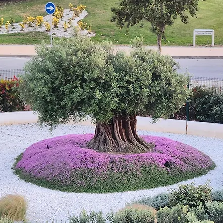 Elevenlights-costaballena Garden View Lägenhet