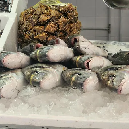 Elevenlights-costaballena Garden View Costa Ballena