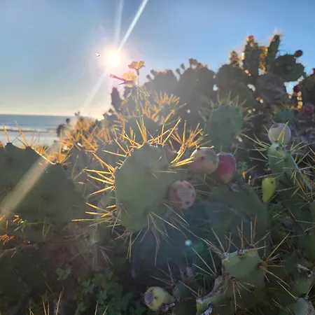 Elevenlights-costaballena Garden View 公寓 科斯塔巴伦娜