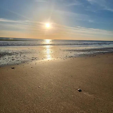 Elevenlights-costaballena Garden View 公寓 *