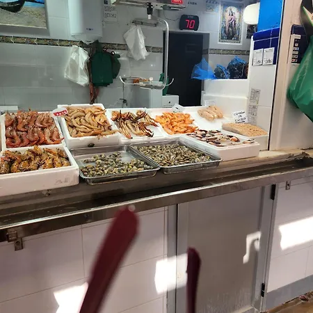 Elevenlights-costaballena Garden View *