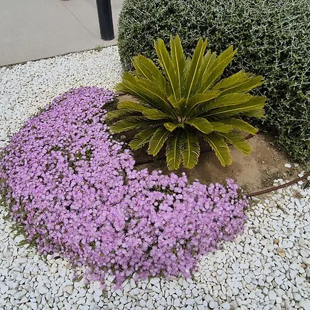 Elevenlights-costaballena Garden View 科斯塔巴伦娜