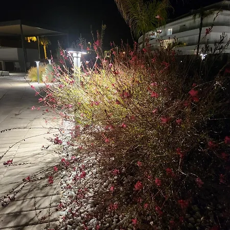 公寓 Elevenlights-costaballena Garden View 科斯塔巴伦娜