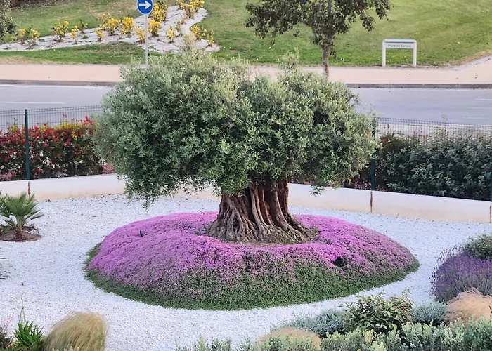 Elevenlights-costaballena Garden View Daire