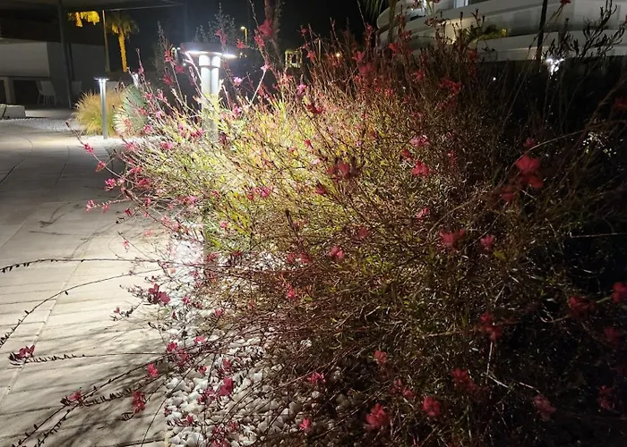 Daire Elevenlights-costaballena Garden View Costa Ballena